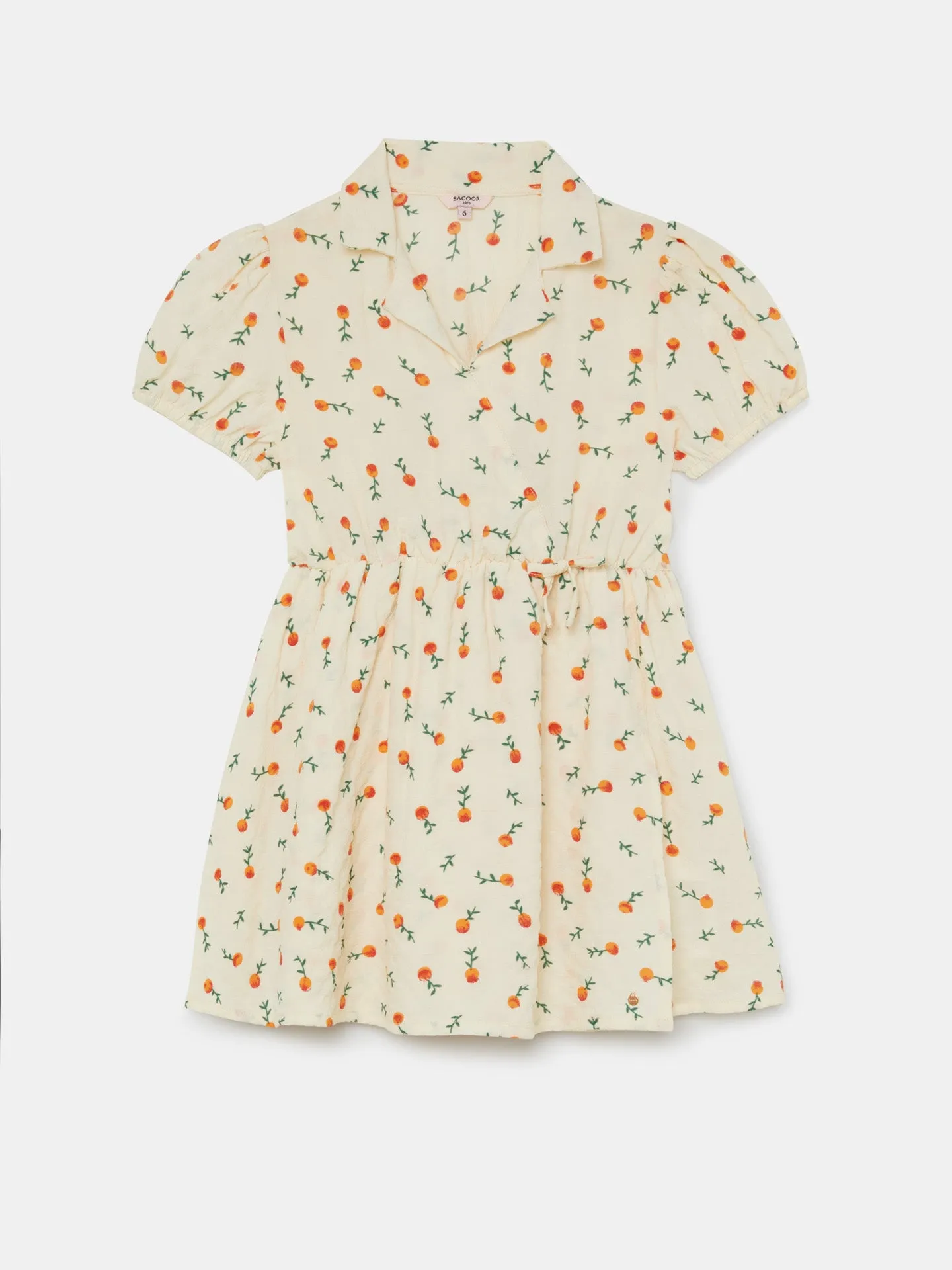 Ballon Sleeves Wrap Dress