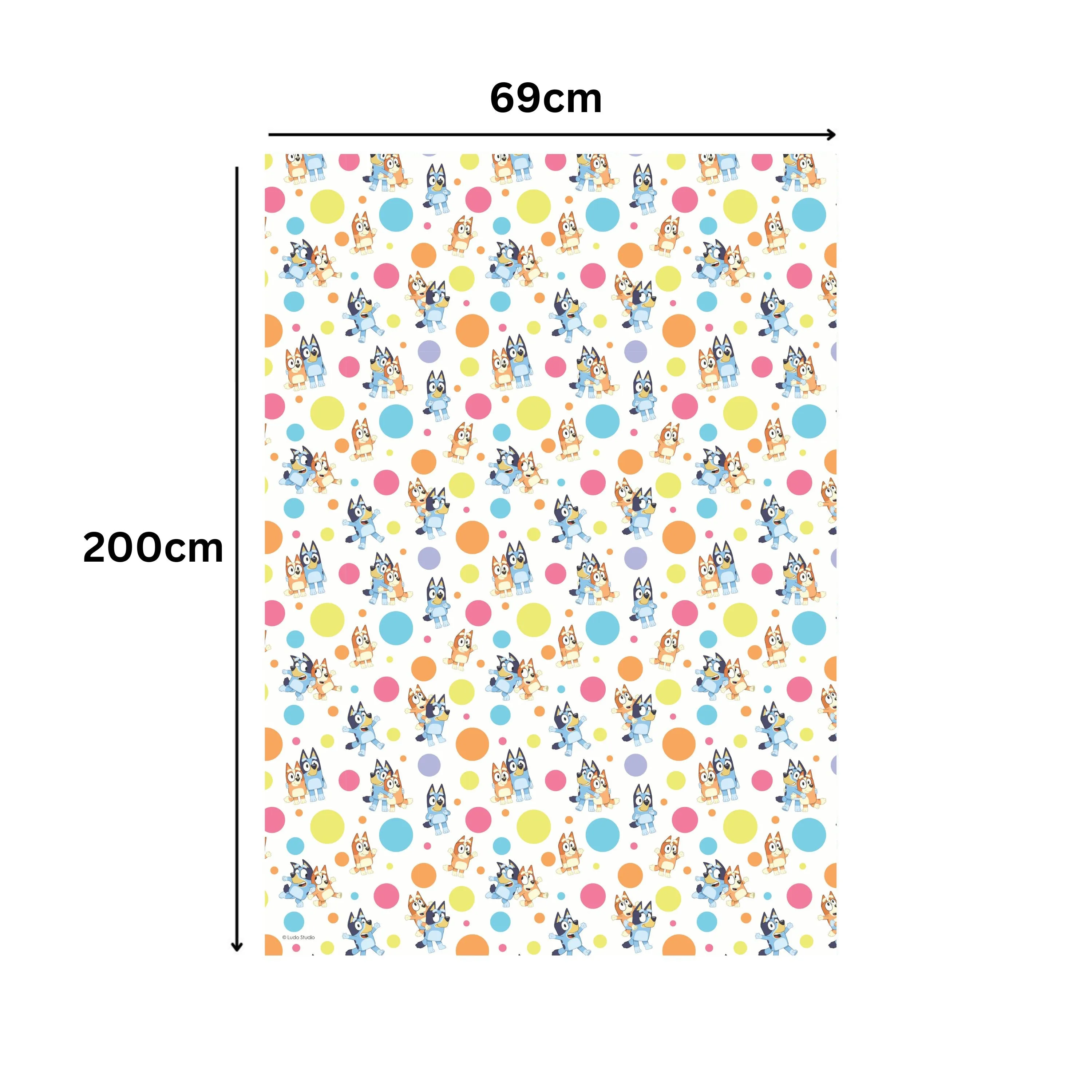 Bluey and Bingo 2m Roll Wrapping Paper