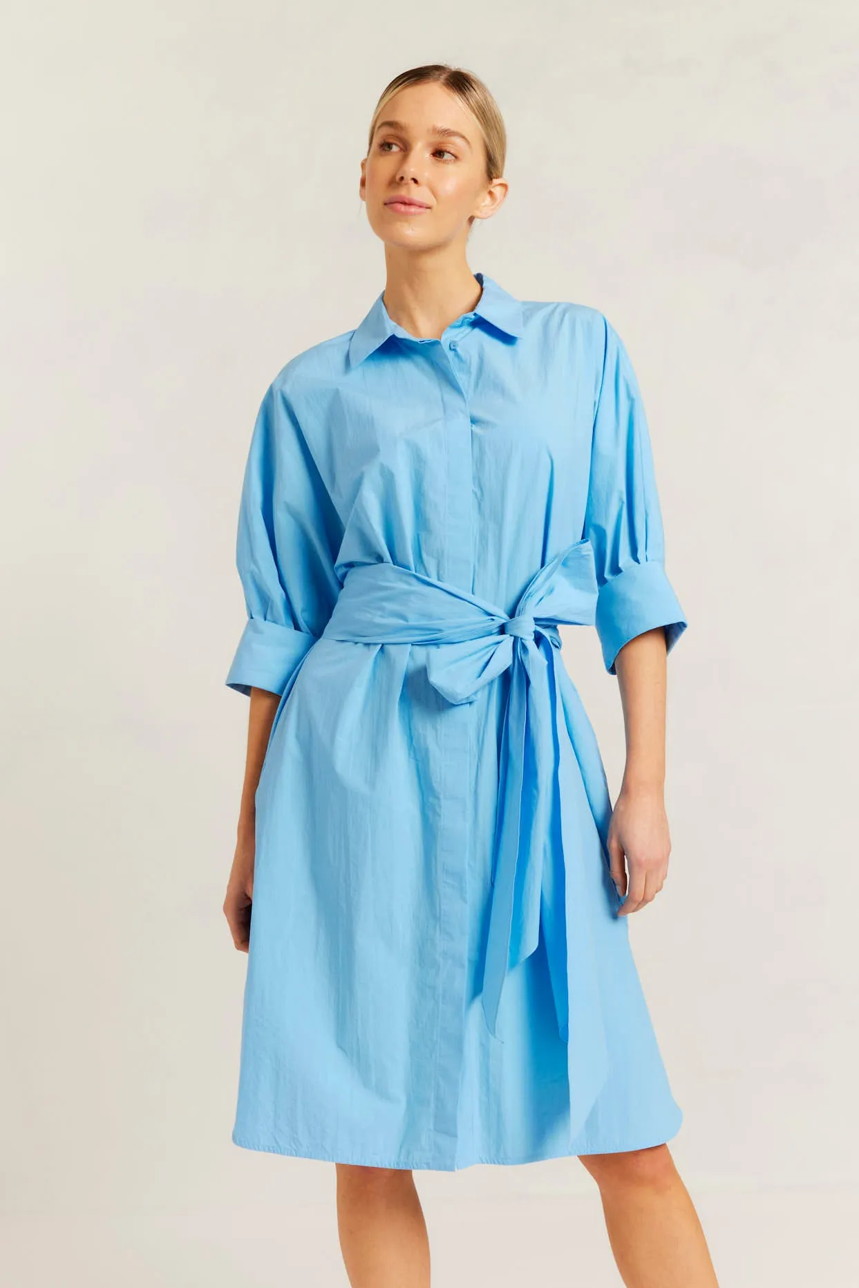 Briar Pima Cotton Dress in Cornflower