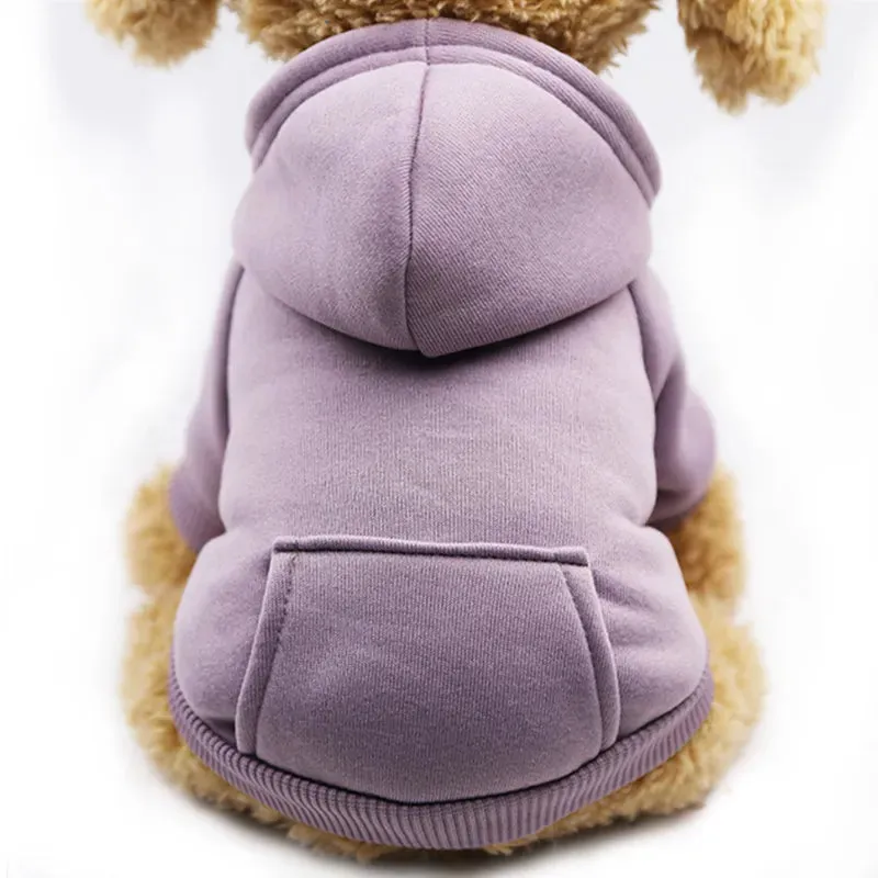 Cozy Pup Outfit