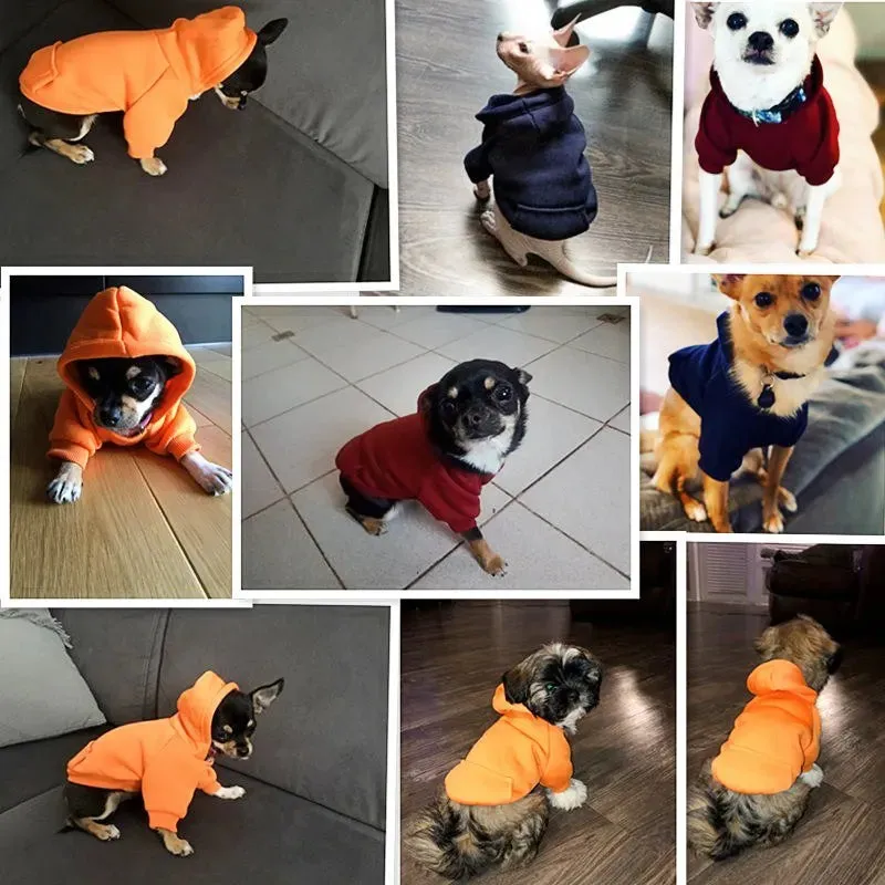 Cozy Pup Outfit