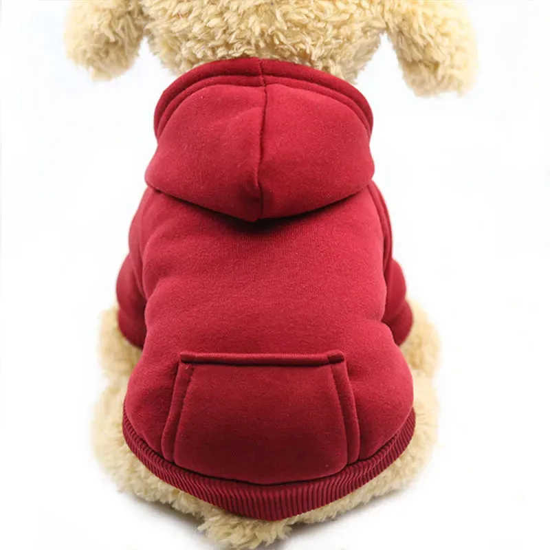 Cozy Pup Outfit