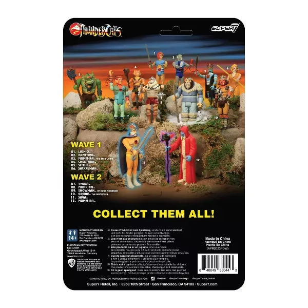 Hook Mountain Lion-Ol - ThunderCats | Super7 ReAction Figures