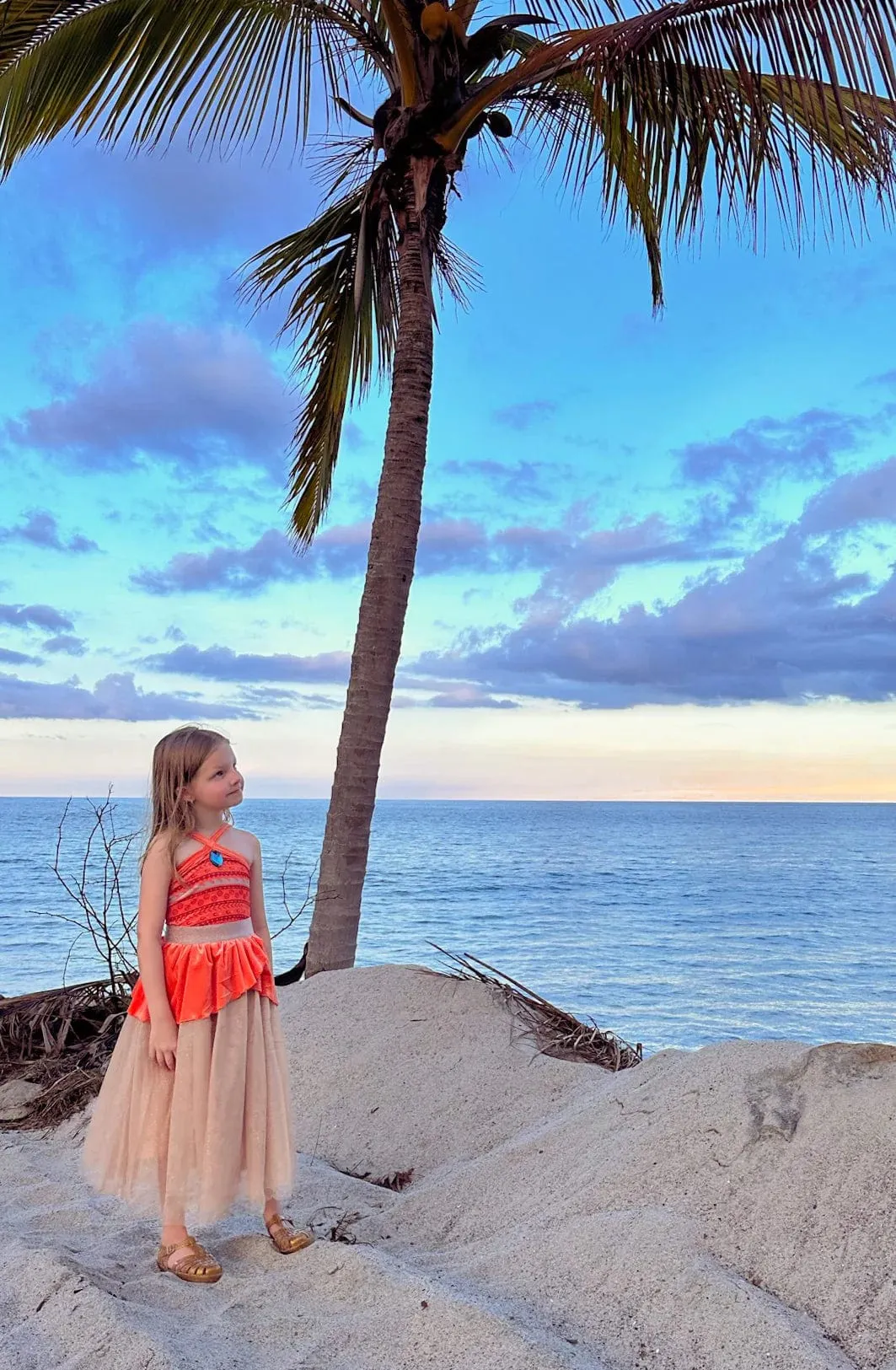 Joy Costumes | Island Princess Dress
