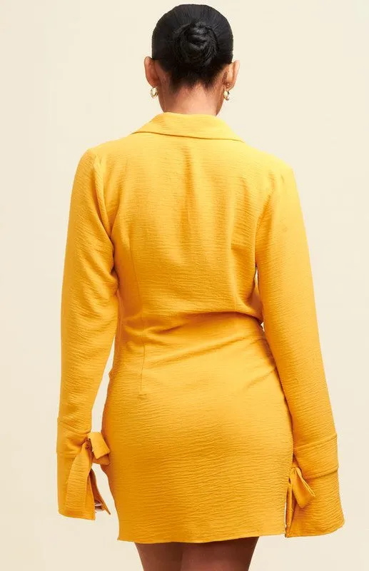 Mary Anne Crinkle Long Sleeve Wrap Mini Dress