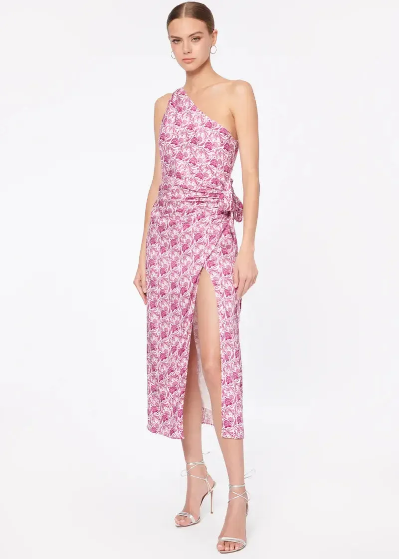 Nanu dress in Pansy Paisley Pink