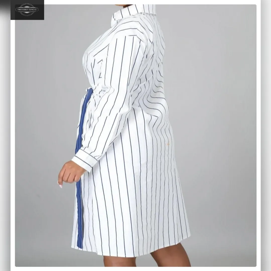Zee Striped Dress